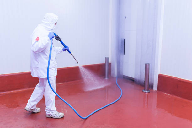 Best Driveway Pressure Washing  in Mission Viejo, CA